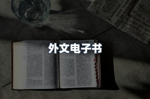 外文电子书